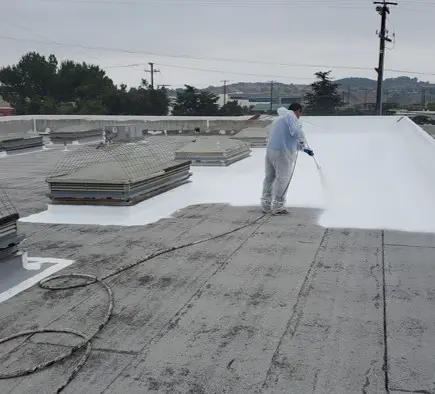 Types of Roof Sealants